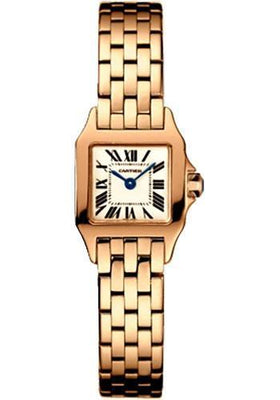 Cartier Watch