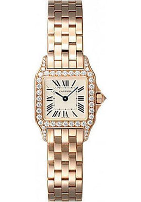 Cartier Watch