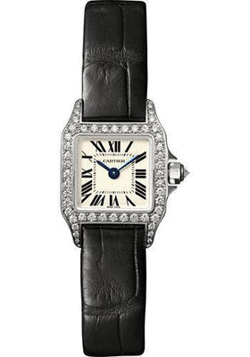 Cartier Watch