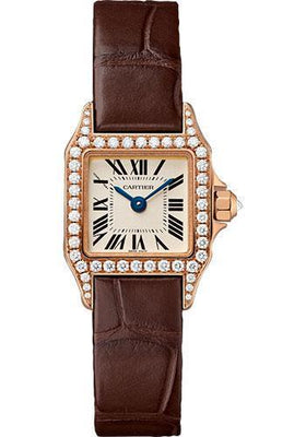 Cartier Watch