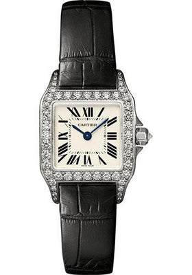 Cartier Watch