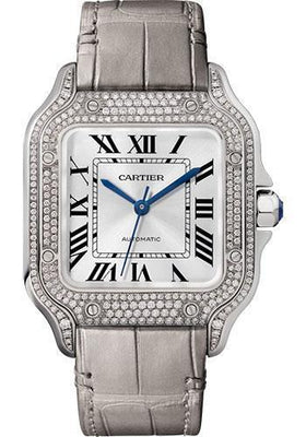 Cartier Watch
