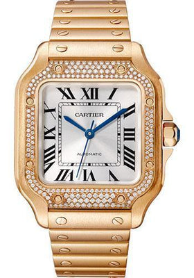 Cartier Watch